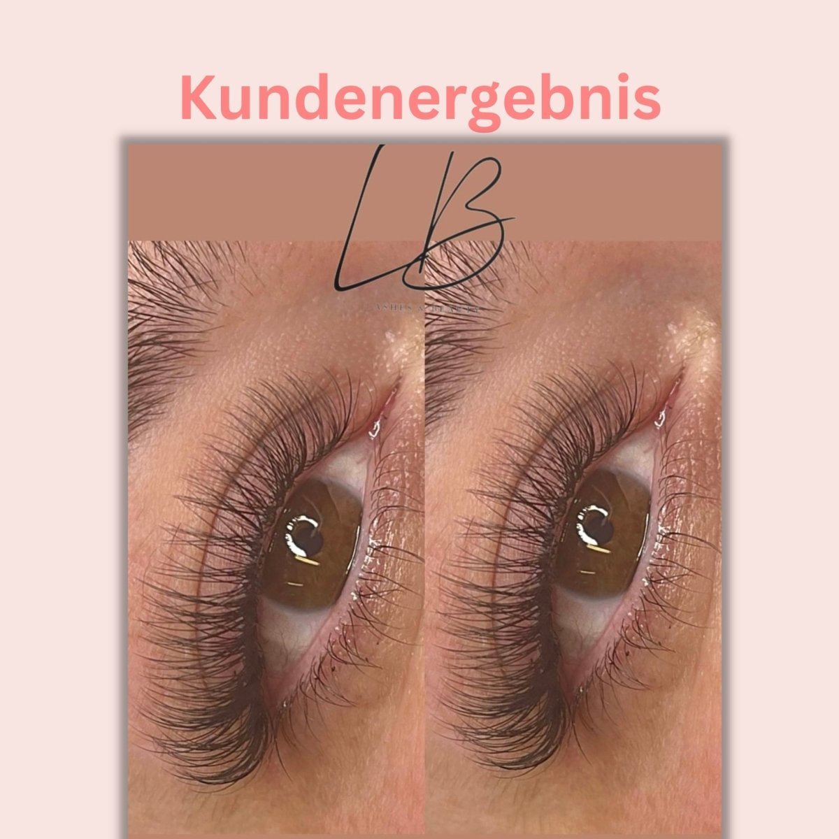 Wimpern 2D auf Klebestreifen - 6in1 Mixbox (1.000 fertige Wimpernfächer) Künstliche Wimpern 0.10 C - WUM Germany