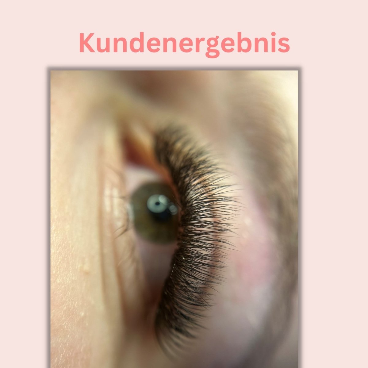 Wimpern 3D auf Klebestreifen - 6in1 Mixbox (1.000 fertige Wimpernfächer) Künstliche Wimpern 0.07 C - WUM Germany