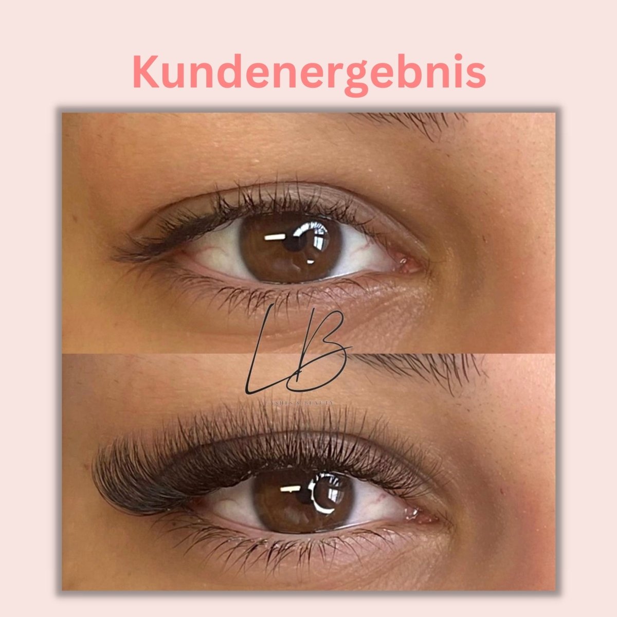 Wimpern 4D auf Klebestreifen - 6in1 Mixbox (1.000 fertige Wimpernfächer) Künstliche Wimpern 0.07 C - WUM Germany