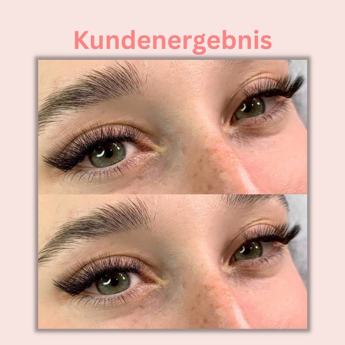 Wimpern 5D M/L auf Klebestreifen - 6in1 Mixbox (1.000 fertige Wimpernfächer) Künstliche Wimpern 0.07 M - WUM Germany