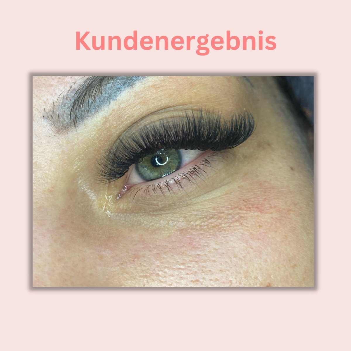 Wimpern 8D auf Klebestreifen - 6in1 Mixbox (1.000 fertige Wimpernfächer) Künstliche Wimpern 0.05 C - WUM Germany